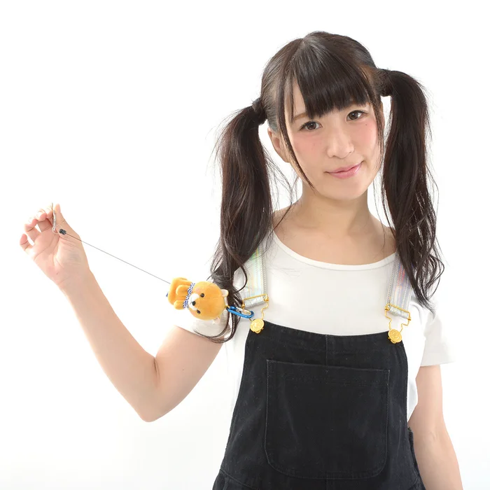 Mameshiba San Kyodai Dog Reel Key Cover Collection 11 Mameshiba San Kyodai Dog Reel Key Cover Collection - Image 9