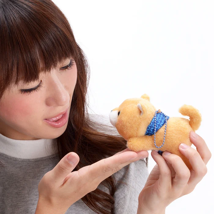 Mameshiba San Kyodai Deshi To Nesoberi Vol. 2 Dog Plush Collection (Ball Chain) 14 Mameshiba San Kyodai Deshi To Nesoberi Vol. 2 Dog Plush Collection (Ball Chain) - Image 12