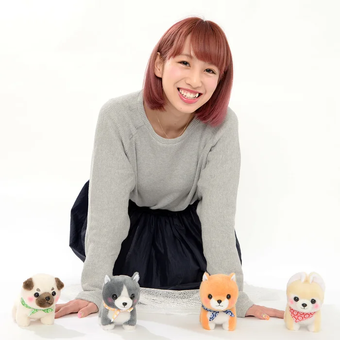 Mameshiba San Kyodai Nihonbare Dog Plush Collection (Standard) 14 Mameshiba San Kyodai Nihonbare Dog Plush Collection (Standard) - Image 12