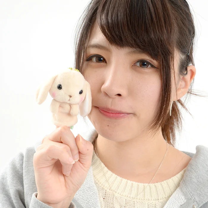 Pote Usa Loppy Rabbit Mini Puppets 13 Pote Usa Loppy Rabbit Mini Puppets - Image 11