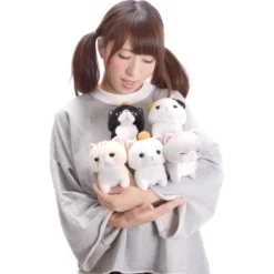 Noseteru Munchkin Cat Plush Collection (Standard) -Plush Toys Shop 4b5cdf4cc0184db4acb06ca462a8c6e4.jpg