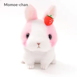 Kyun To Naki Usagi Noichigo Pika Plush Collection (Standard) 24 Kyun To Naki Usagi Noichigo Pika Plush Collection (Standard) -Plush Toys Shop 6f9d9c8c5b5248b89635651d20c698eb.jpg