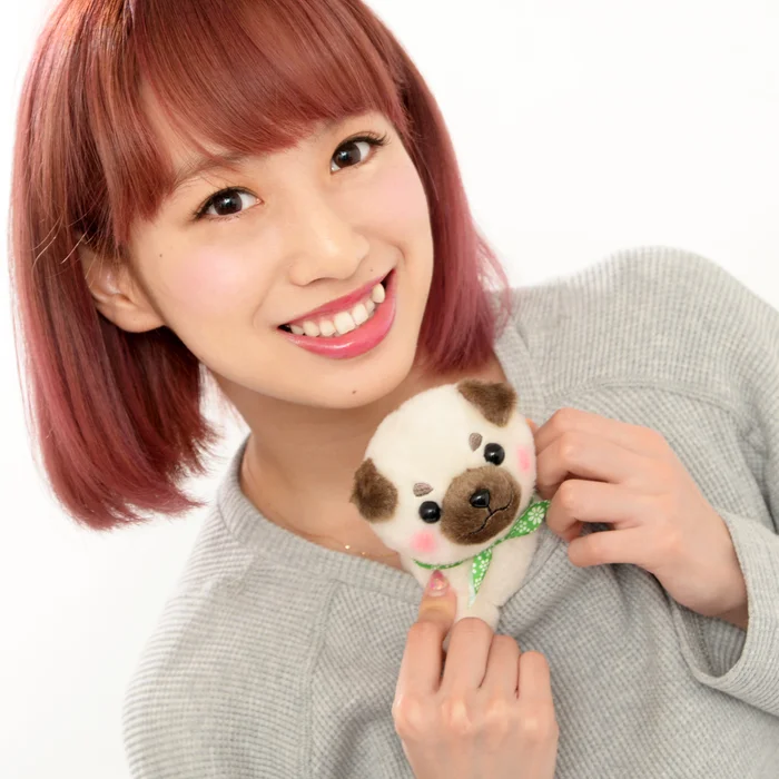 Mameshiba San Kyodai Nihonbare Dog Plush Collection (Standard) 13 Mameshiba San Kyodai Nihonbare Dog Plush Collection (Standard) - Image 11