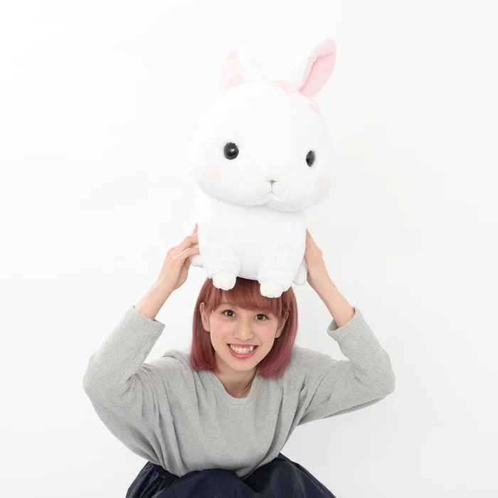 Kyun To Naki Usagi No Uta 2 Pika Plush Collection (Big) 11 Kyun To Naki Usagi No Uta 2 Pika Plush Collection (Big) - Image 9