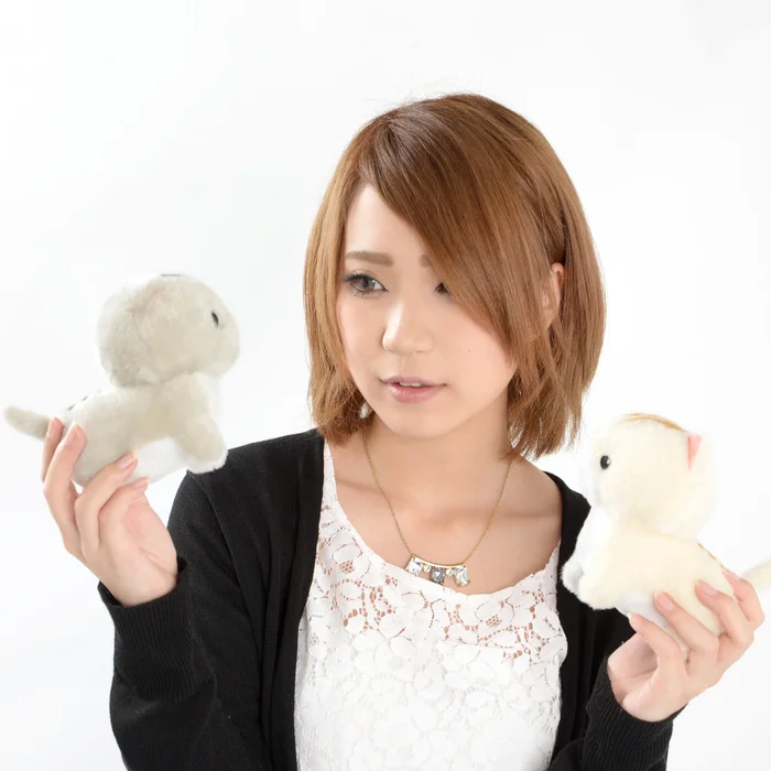 Chinmari Munchkin Cat Plush Collection (Standard) 18 Chinmari Munchkin Cat Plush Collection (Standard) - Image 16