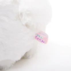 Fuwa-Mofu Pometan Dog Plush Collection (Standard) 21 Fuwa-Mofu Pometan Dog Plush Collection (Standard) -Plush Toys Shop 9143beb22a674bcd9fb9ad1449ea1799.jpg