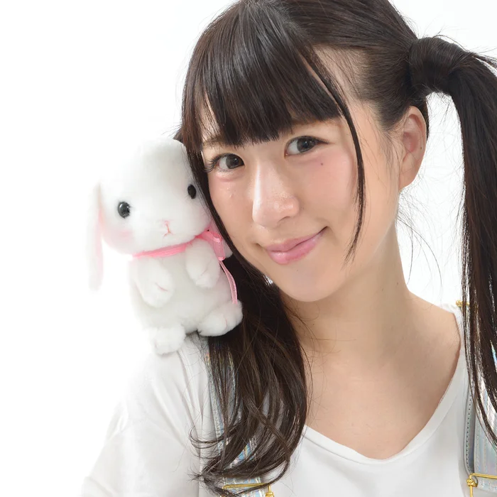 Pote Usa Loppy Onedari Rabbit Plush Collection (Standard) 10 Pote Usa Loppy Onedari Rabbit Plush Collection (Standard) - Image 8